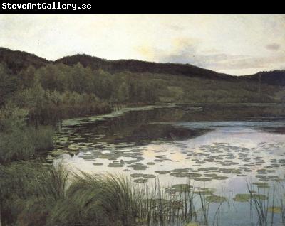 Kitty Kielland Summer Night (nn02)